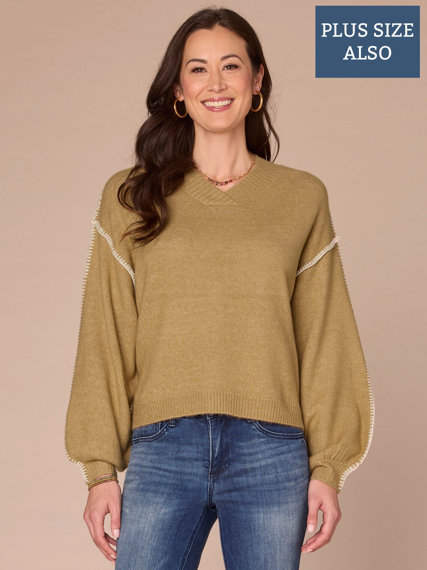 Blouson Sleeve V-Neck Blanket Stitch Embroidered Plus Size Sweater