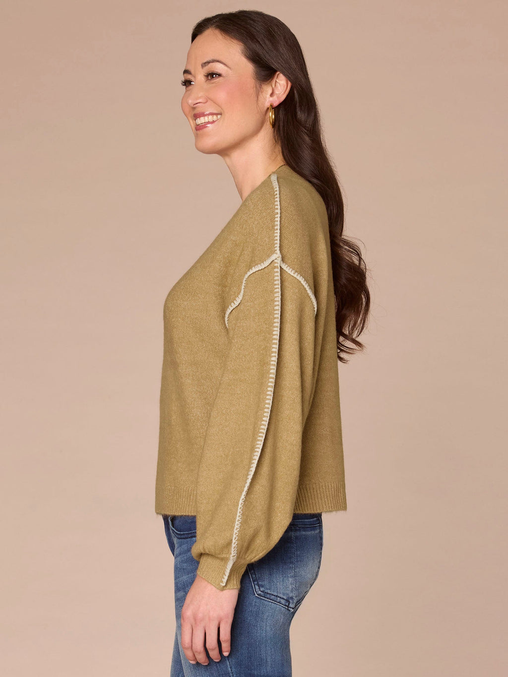 Blouson Sleeve V-Neck Blanket Stitch Embroidered Plus Size Sweater