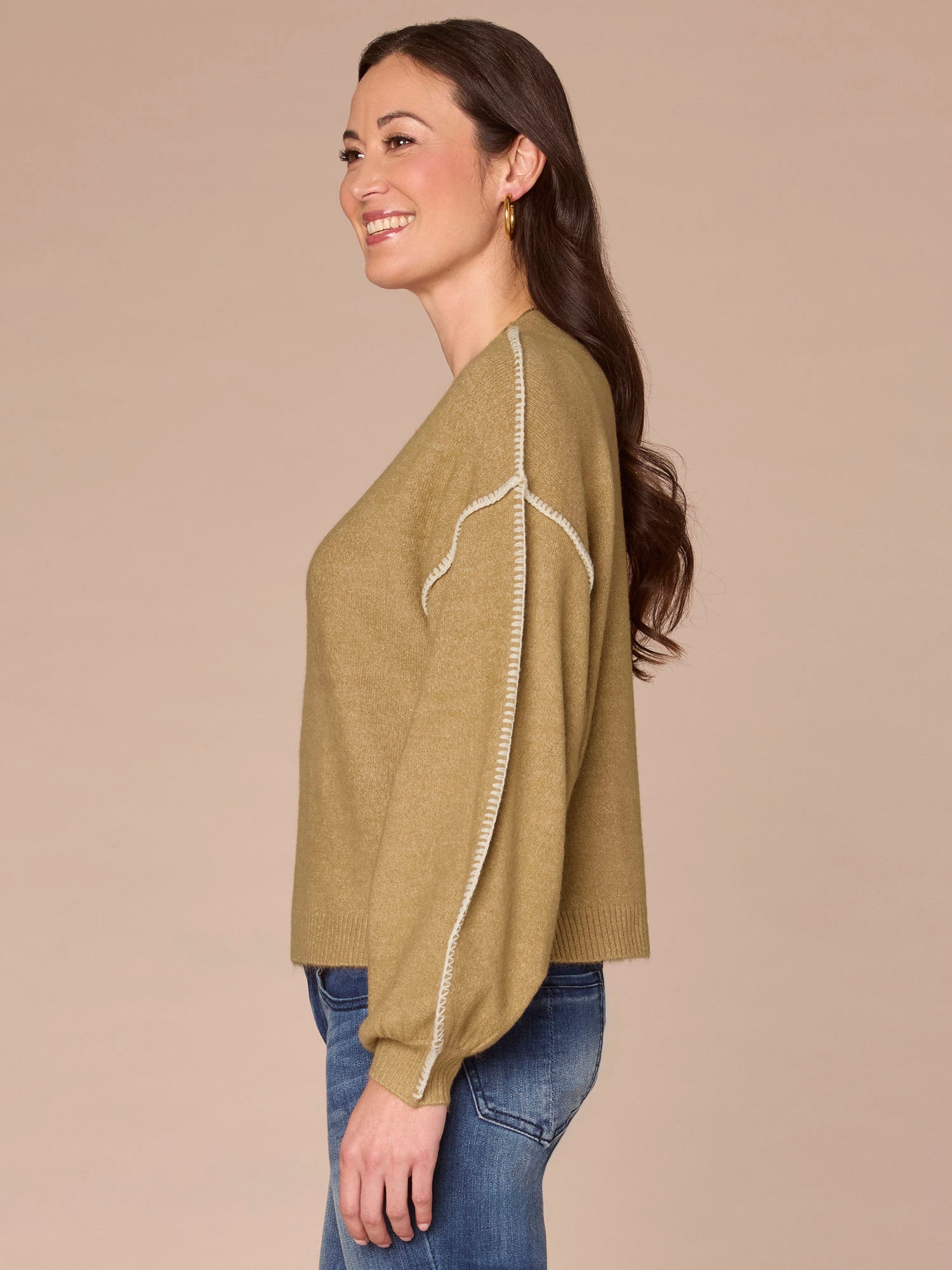 Blouson Sleeve V-Neck Blanket Stitch Embroidered Plus Size Sweater