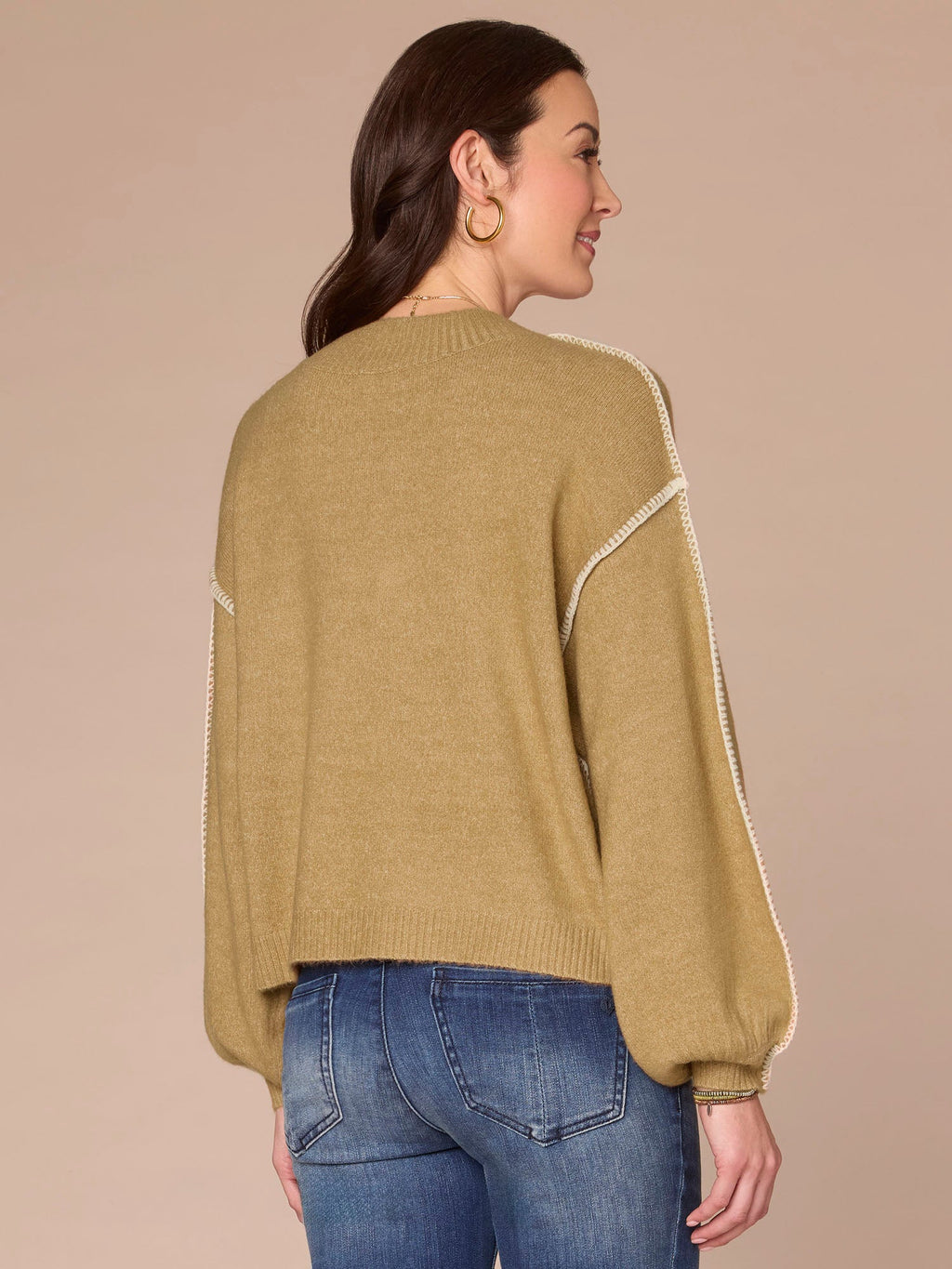 Blouson Sleeve V-Neck Blanket Stitch Embroidered Plus Size Sweater
