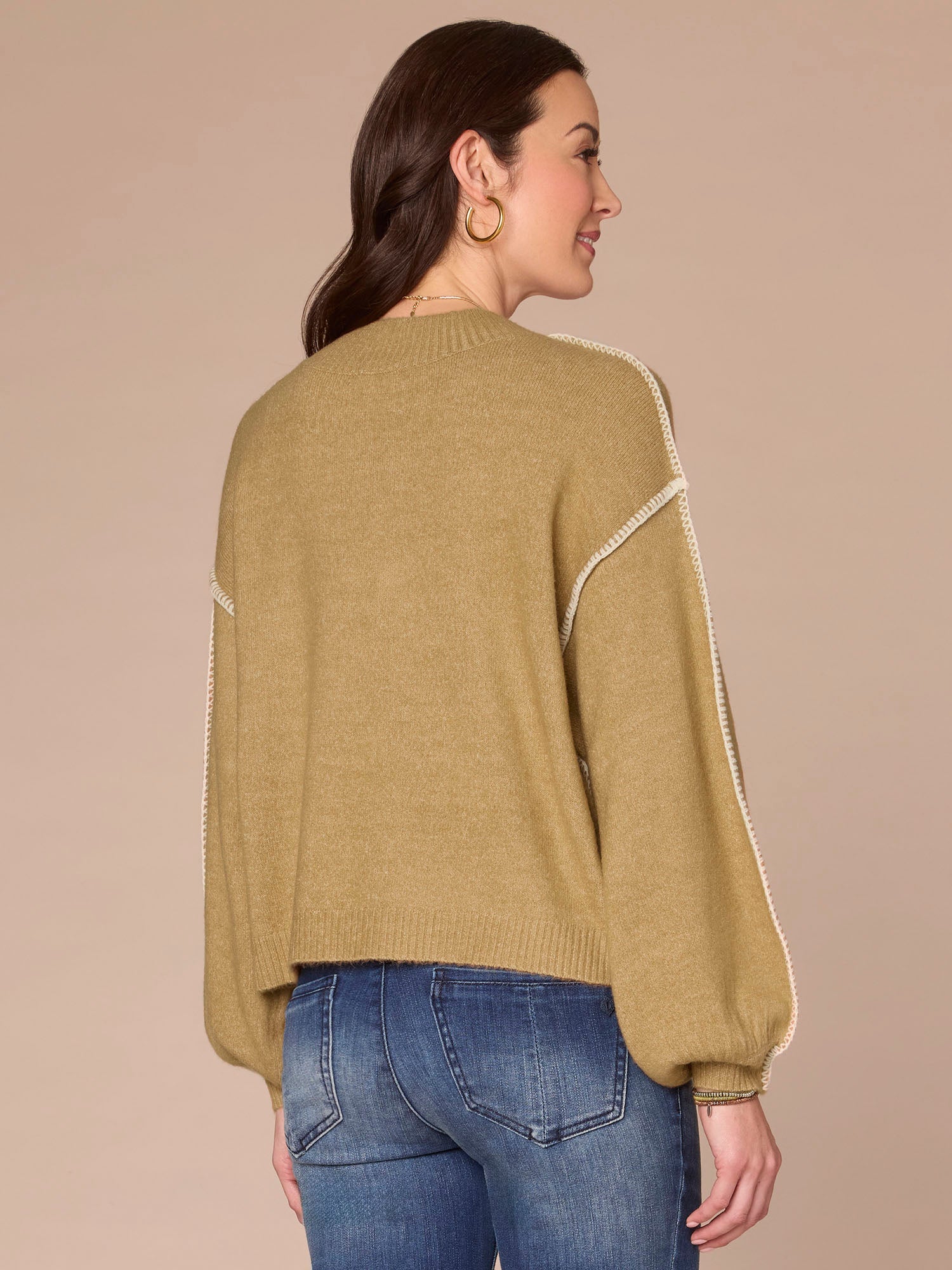 Blouson Sleeve V-Neck Blanket Stitch Embroidered Plus Size Sweater