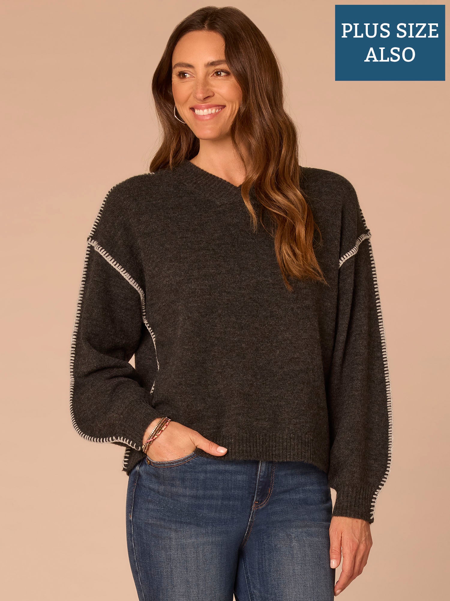 Blouson Sleeve V-Neck Blanket Stitch Embroidered Plus Size Sweater
