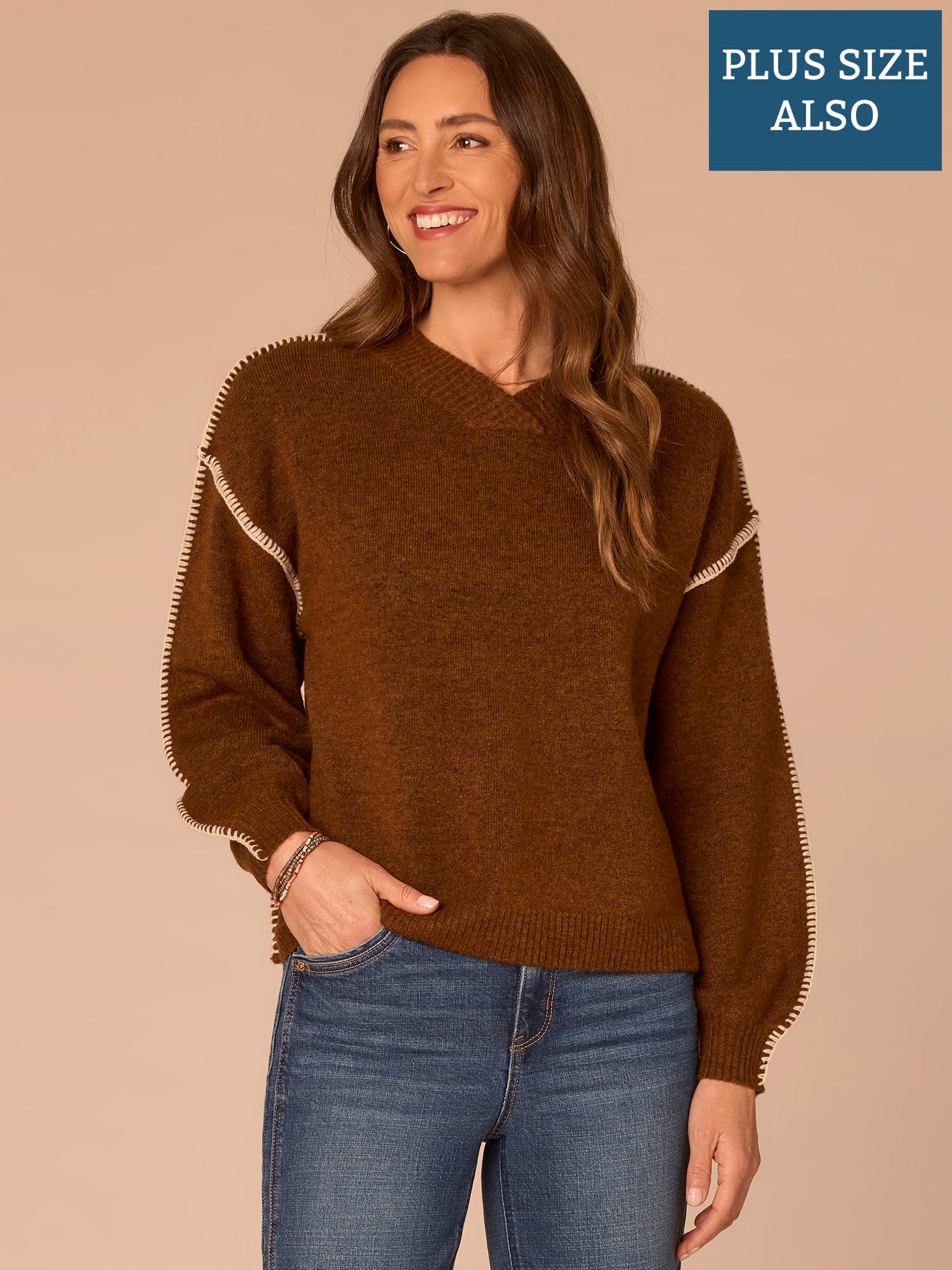 Blouson Sleeve V-Neck Blanket Stitch Embroidered Plus Size Sweater