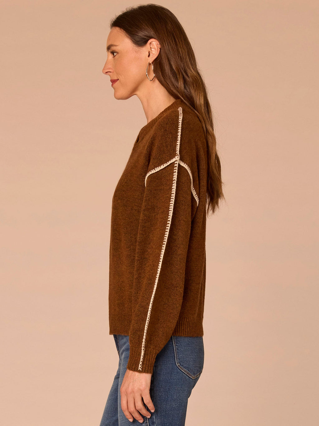 Blouson Sleeve V-Neck Blanket Stitch Embroidered Plus Size Sweater