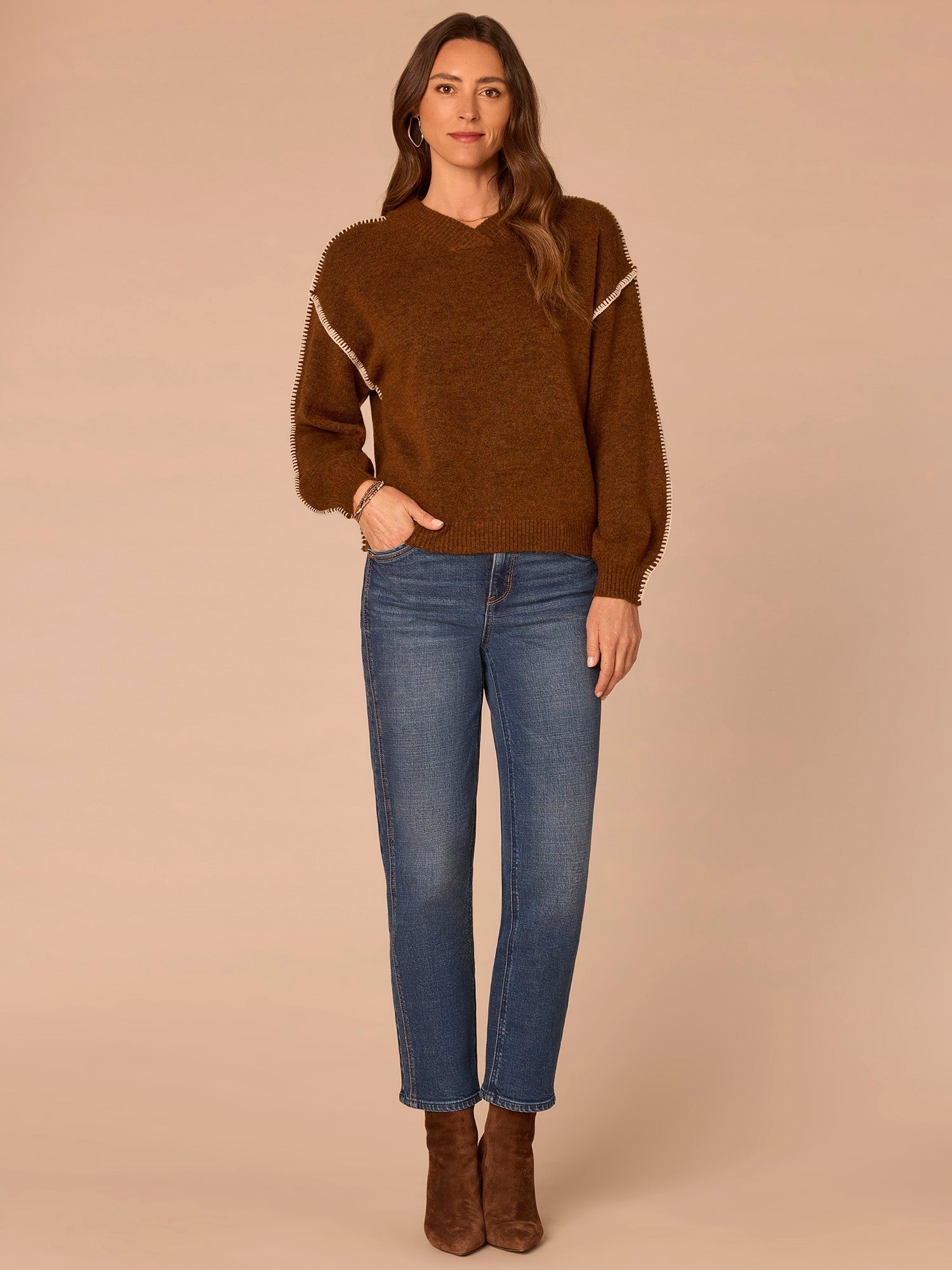Blouson Sleeve V-Neck Blanket Stitch Embroidered Plus Size Sweater